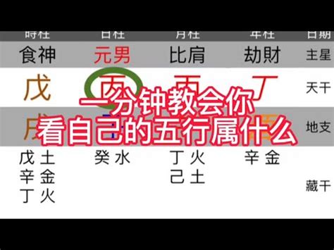 啡色五行屬性|啡色五行屬什麼？瞭解咖啡色五行屬性指南 